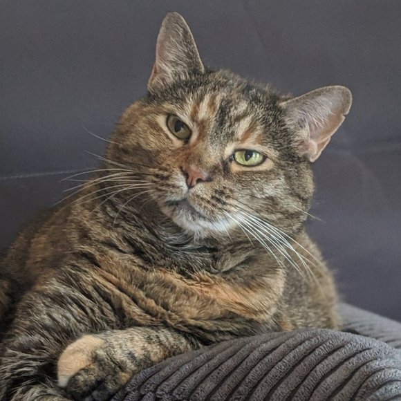 Hai everyone! - Picture 3 of 3